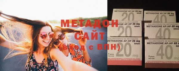 индика Новодвинск