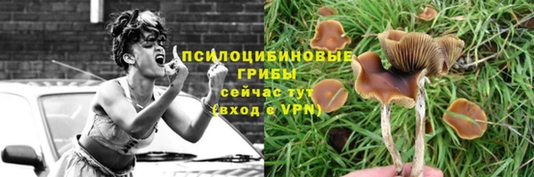 ешки Балахна